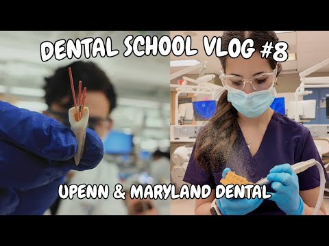Dental School VLOG #8 | Fixed Prosth, Endo, & Suturing!