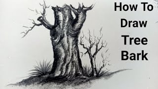 Tree Bark Drawing For Beginners Step By Step II How To Draw Tree Bark With Pencil II