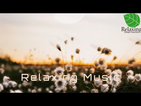 Listen to Beautiful Relaxing Music for Stress Relief Calming Music Meditation Relaxation Sleep Spa