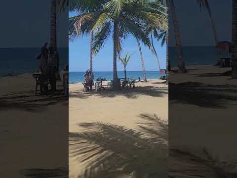 verano