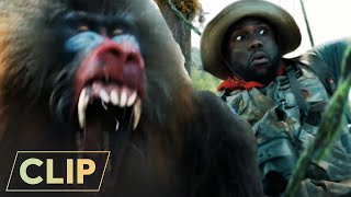 Jumanji: The Next Level (2019) | Crossing Baboon Bridge | Kevin Hart & Jack Black
