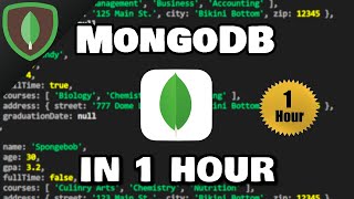Learn MongoDB in 1 Hour 🍃