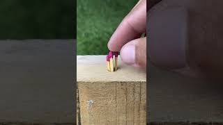 This trick restores wood in secondsFast, easy, and seriously effective#USA #WoodFix #DIYWoodRepair