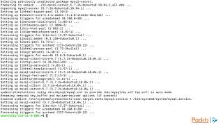 Dockerization - Do more with Docker : What’s Wrong with the Traditional Way?  | packtpub.com