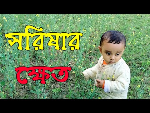 সরিষা ক্ষেতের মধ্যে দুষ্টামি করতেছে  । Mustard is making mischief in the fields । Abram Khan Vlog
