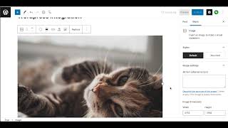 Wordpress integration