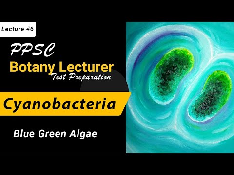 Lec#6 PPSC Botany lecturer series Ch#9 Cyanobacteria/Blue Green Algae (F.sc 1st year)