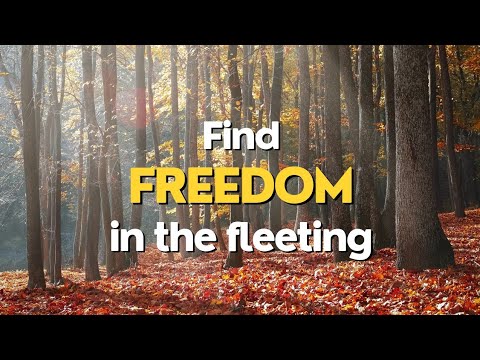 Finding Freedom: Embracing Life's Impermanence