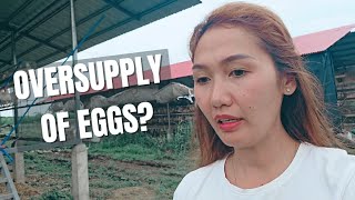 Is there an OVERSUPPLY of EGGS in the Philippines?