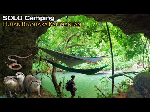 Solo Camping Fishing Kalimantan Wilderness Forest produces lots of fish in front of the GOA
