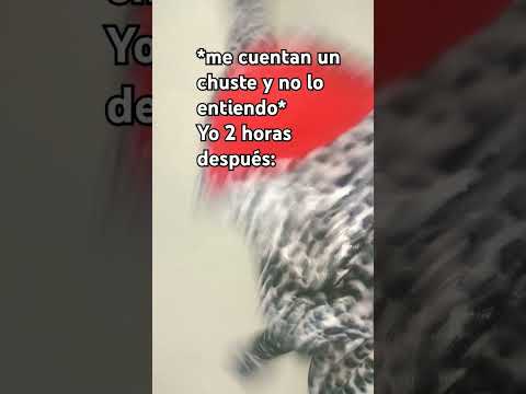 *convulsiona* #humor #quackity #lentejas #xd #31minutos #memes