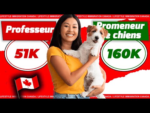 🔥 De professeur PAUVRE  à promeneur de chiens RICHE 🤑