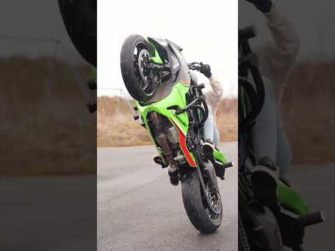 #shirts #feed #viralcode #mt15 #duke390 #zx10r #mt15lover #ktmduke #ninja #mt15love #lover