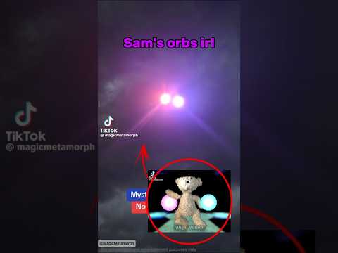 Sam's orbs irl #roblox #funny #meme #bear #bearalpha #bearalpharoblox #music #orbs #edit