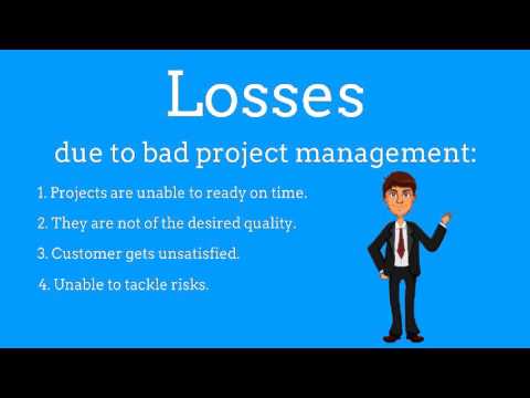 What is Project Management