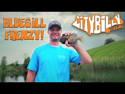 [4K] Fishing Crystal Clear Water For Bluegill With My Kids