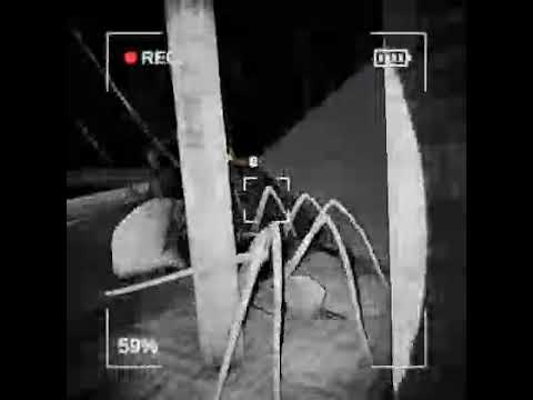 content warning c335ef4b