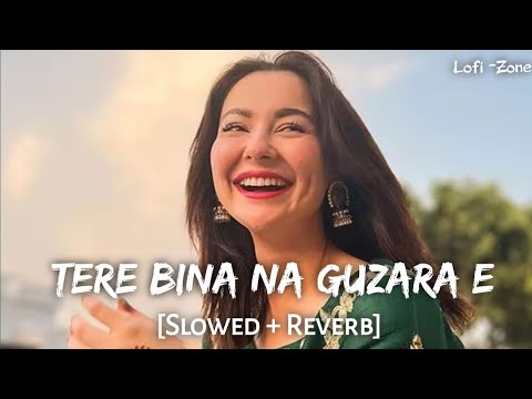 Tere Bina Na Guzara Ae - (Slowed + Reverb) -  Josh Brar ft. | Kinza Hashmi | Lofi -Zone |