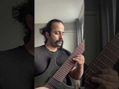 Meshuggah - Future Breed Machine Solo #meshuggah #metal #guitar