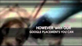 Google Placement For Business