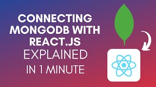 How To Connect MongoDB With React.js (2025)