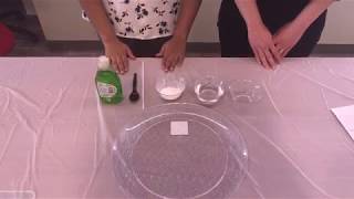 Bubble Fun - Bayer Science Experiment #3