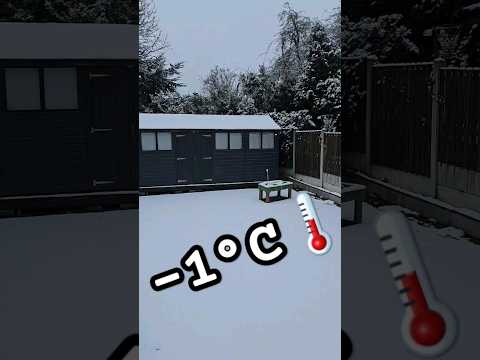 Heating a FREEZING SHED! #winter #shorts #ytshorts