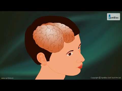 Real and Virtual Images