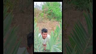 সাঁনতালি ফানি ভিডিও 😂😂||#shortvideo #2024 #viral #funny#shorts#GDkora