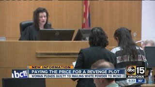 Woman pays the price for revenge plot