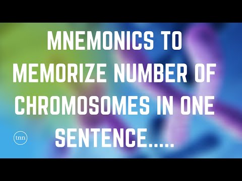 MNEMONICS TO MEMORIZE NUMBER OF CHROMOSOMES.