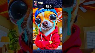 Uncle Bob is Taking Care Of Chihuahua Part 2 #memes #chihuahua #unclebob