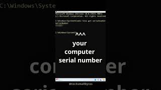 How to Look Up Serial Number on Windows 11 Using CMD