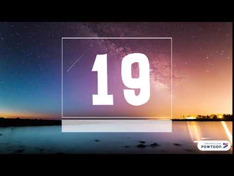 number 19