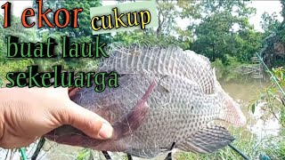waktu yang tepat untuk mancing jaring
