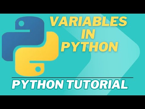 Python Variables Explained Simply | Learn How to Store Data in Python