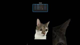 junior vs senior #codelife #css #html #frontend #coding #webdevelopment #webdesign