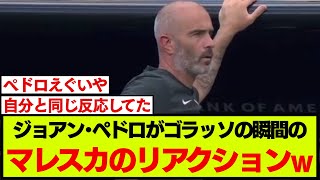 ジョアンペドロがチェルシー初得点を決めた瞬間のマレスカの反応がこちらですw