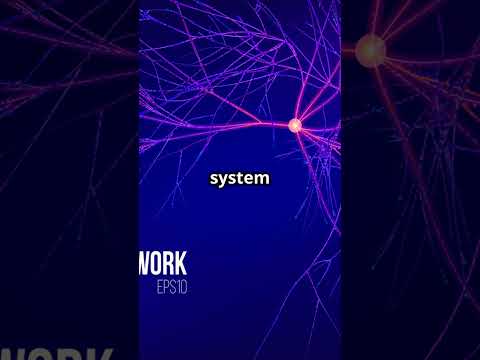Neural Networks in a Nutshell | Explained in Under 60 Seconds #artificialintelligence #futuretech