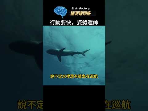 海上救生撤離系統，可以做到行动要快，姿势还帅，是出海工作，旅行的必备系统#世界之最 #世界十大 #冷知识 #脑洞大开 #top10 #地球之最 #top5 #危險 #科普 #救生艇 #海上警報