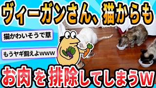 [2ch Funny Thread] Vegan who hates meat removes it from their cat's diet too