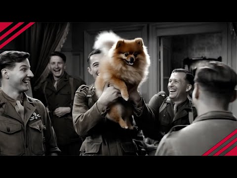 A Dog's Tale from WW2 - doea sadjalah MV