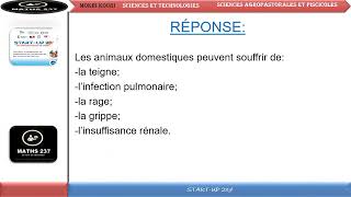 CE1: identifier les maladies des animaux domestiques.