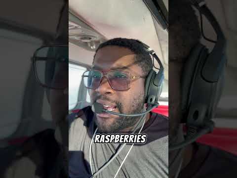 Flight Snax! #aviation #silly #justforfun #bonanza