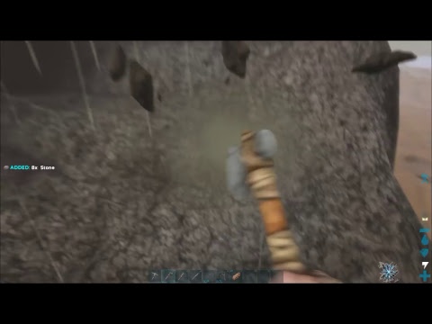 Ark Survival Evolved