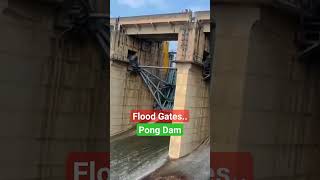 Pong Dam Flood Gates #doabaradio #flood #pongdam