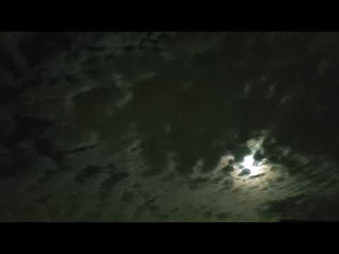 First Time Lapse