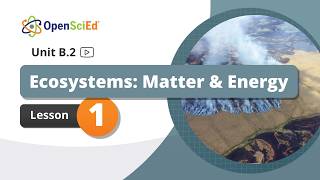 Unit B.2 Lesson 1 Planning Video | OpenSciEd On-Demand Resources