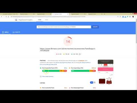 Page Speed Insight 100 100 SEO importance in 2020
