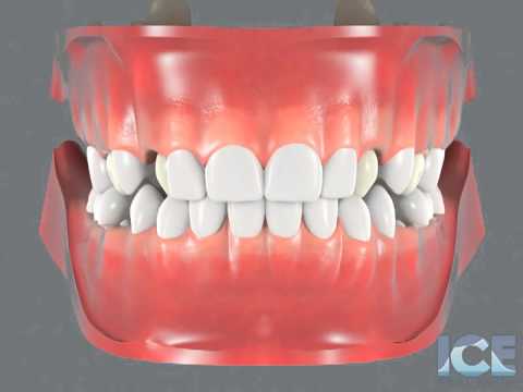 Dental Development Center